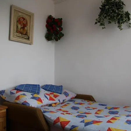 Проживание в семье Goscinne Lulu *
